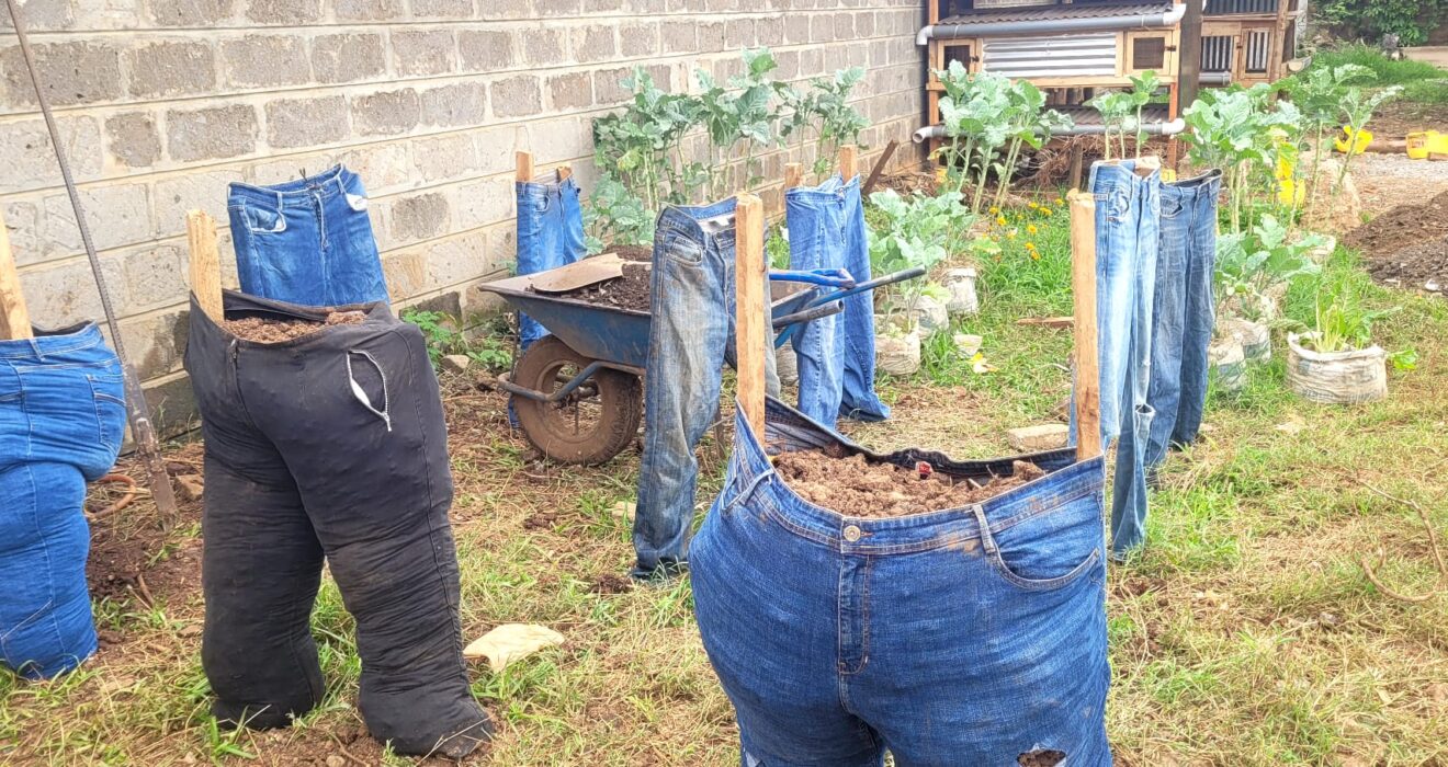 MPS Jeans Garden