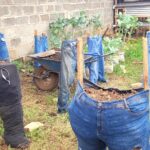 MPS Jeans Garden
