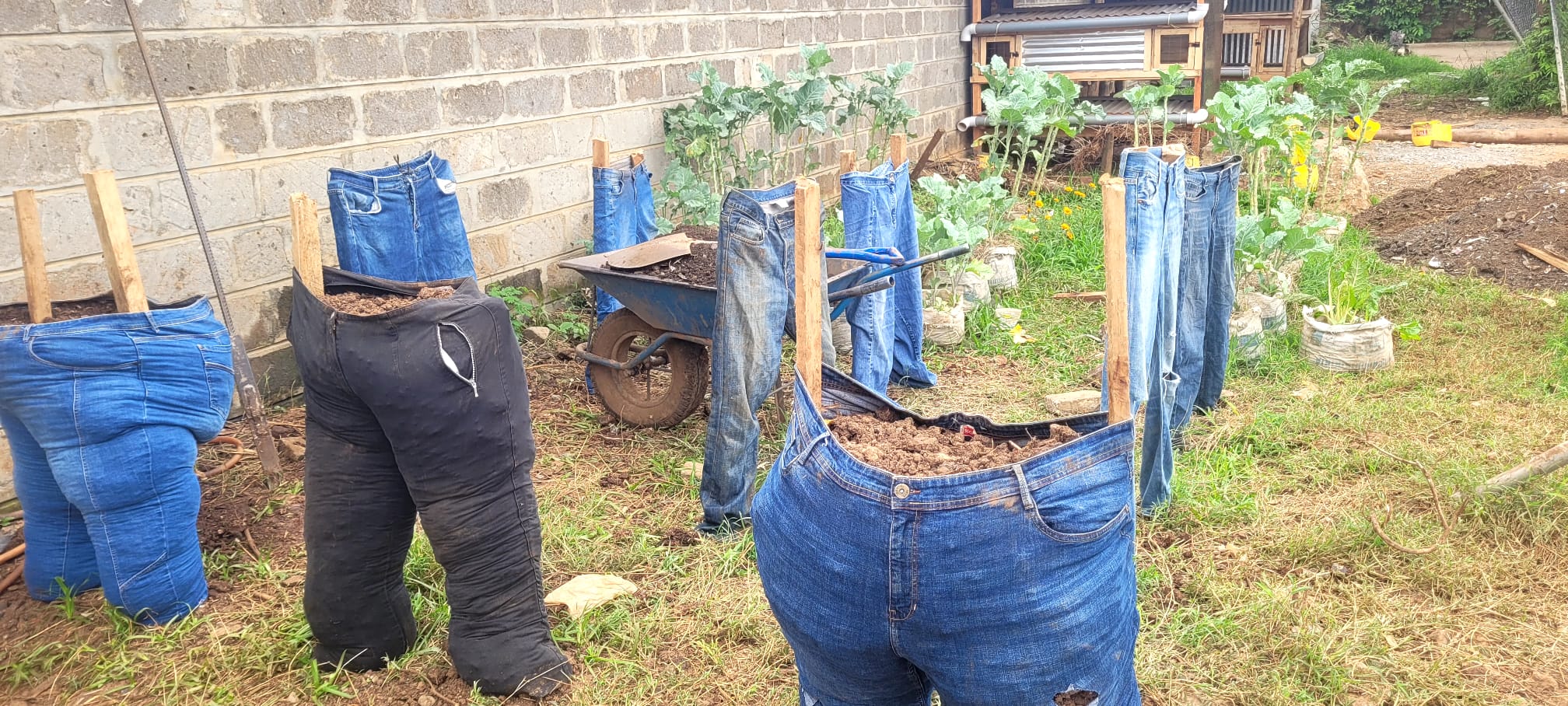 MPS Jeans Garden