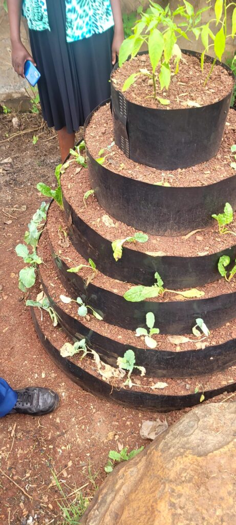 MPS Vertical Garden
